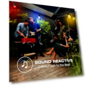 Outdoor Smart RGB+IC+WW String Lights — String Lights, MONSTER