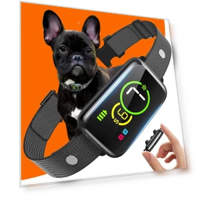 Smart Anti-Bark Collar — Anti-Bark Training Devices, AccessoriesIN