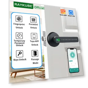 Smart Lock — Smart Home Security, RAYKUBE