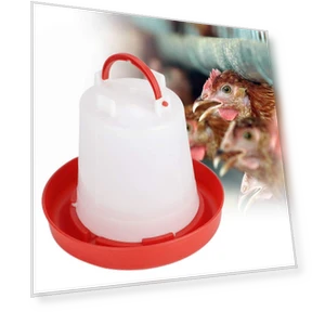 Automatic Chicken Feeder and Waterer — Poultry Hydration Solutions, Japan Zen Mall