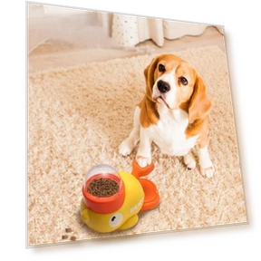 Automatic Pet Feeder — Automatic Feeders, dashiyes00w