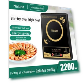 High Power Induction Cooktop with Touch Control — Cooking Surfaces, Wanlida