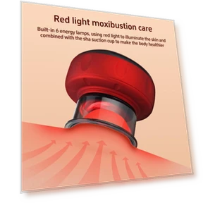 Intelligent Vacuum Massage Device — Massage Equipment, Wrigleys