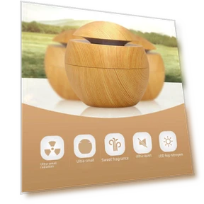 Mini Air Humidifier Mushroom USB — Air Moisturizers, Got Now