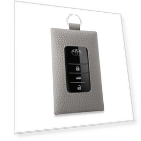 Smart Key Genuine Carabiner Gift — Key Cases, COGURE