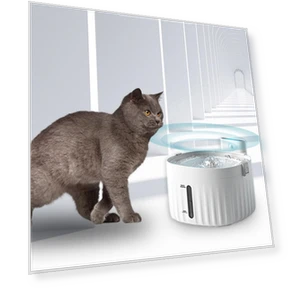 Automatic Circulation Water Fountain — Fountains, Holland Pia