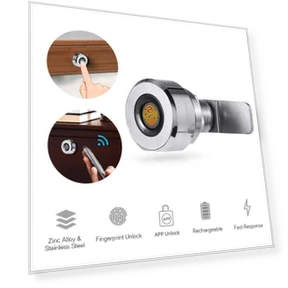Digital Fingerprint Cabinet Lock — Locks, Crown Global