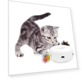 Electric Automatic Cat Ball — Cat Playthings, Zen Picks