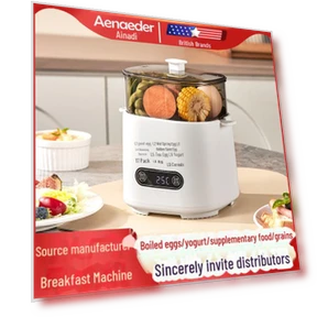 Mini Multi-Function Egg Cooker — Egg Cookers, ElectroCN