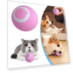 Self Rolling Ball Cat Interactive Ball — Cat Playthings, Xiangchang