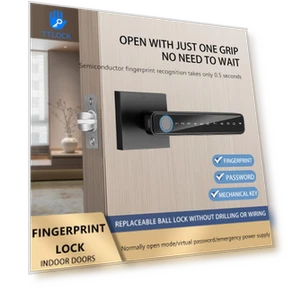 Smart Home Fingerprint Door Lock — Biometric Security, AE Selection