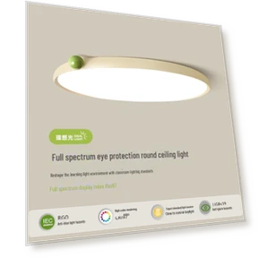 Ultra-Thin Full Spectrum Ceiling Light — Overhead Lighting, WoW Home