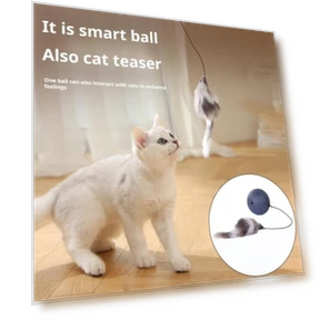 Automatic Cat Toy with Rolling Ball — Cat Playthings, fanweixi