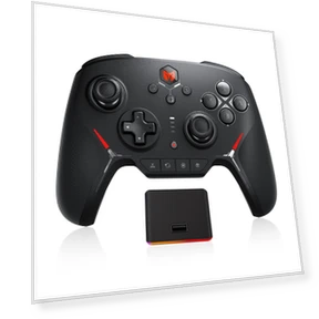 Mechanical Switch Controller — Gaming Controllers, BIGBIG WON