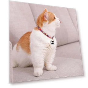 Universal Waterproof Mini GPS Tracker Collar — Item Locators, Good Household Items