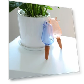 Automatic Plant Watering Device — Automatic Irrigation, mujin