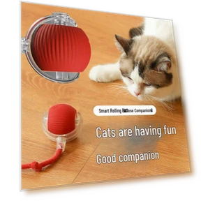 Automatic Self-Entertainment Toy for Kittens — Cat Playthings, TrendVibeCN