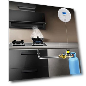 Digital Carbon Monoxide Detector — Carbon Monoxide Detectors, Good Household Items
