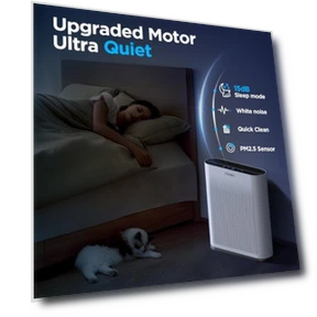 H13 HEPA Air Purifier — Activated Carbon Air Purifiers, Mooka