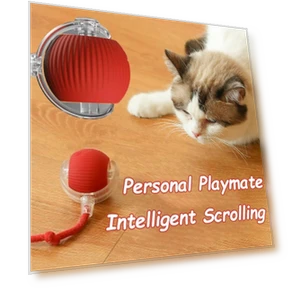 Interactive Cat Toy Ball — Cat Playthings, KITCHEN-MALL