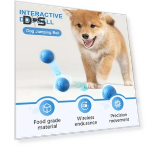 Interactive Pet Ball Toy — Interactive Animal Companions, Kitty Cat House