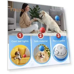 Interactive Pet Ball Toy — Interactive Animal Companions, Vogue Wardrobe