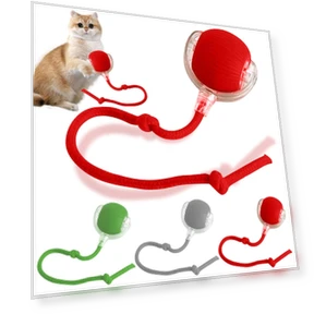 Interactive Pet Toy Ball — Interactive Animal Companions, Jiangnan A