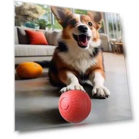 Interactive Smart Ball for Pets — Cat Playthings, Pet park