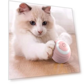Smart Dog Toys — Automatic Launchers, Boyhood