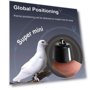 Smart Pet Collar — Trackers, Worry free storage
