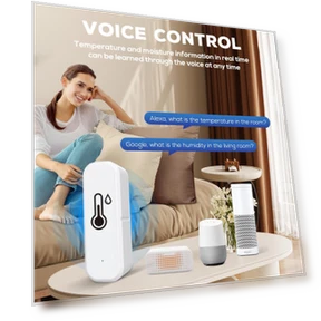Wireless Indoor Temperature & Humidity Sensor — Home Climate Control, TrendVibeCN