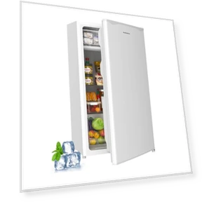 Mini Fridge with Freezer — Mini Fridges, BANGSON
