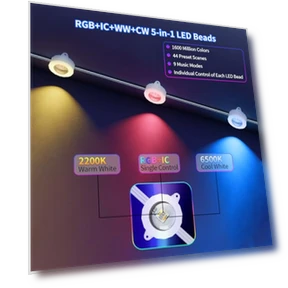 Permanent Outdoor Lights — Outdoor Security & Flood Lighting, URCAMS