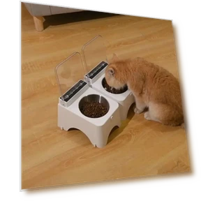 Automatic Cat Food Dispenser — Feeders, Jinkuinduy