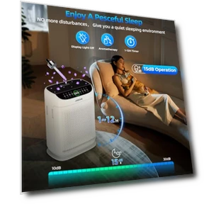 Large Room Air Purifier — Activated Carbon Air Purifiers, AnEgoe