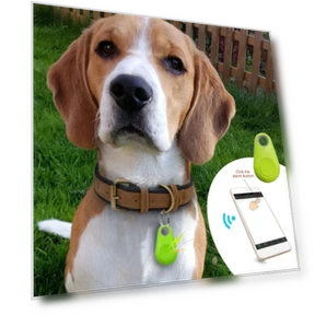 Portable Pet Bluetooth GPS Tracker — Item Locators, shengtukeji