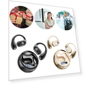 Real-time Translation Earphones — Language Translators, Good Household Items