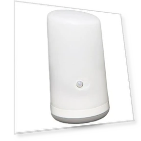 Sensor Light LED Battery Operated — Garden Illumination, IRIS OHYAMA