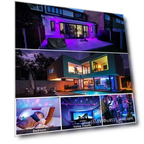 Smart WiFi Bulb — Smart Home Modules, Polaris star