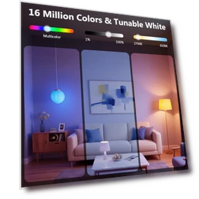 Smart Light Bulbs — LED, DAYBETTER
