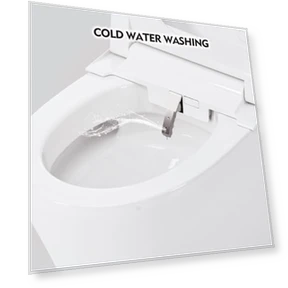 Smart Toilet with Bidet Built in — Bathroom Essentials, Merax