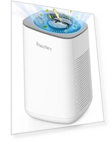 Small Air Purifier with Essential Oil Diffuser — Activated Carbon Air Purifiers, Priestley