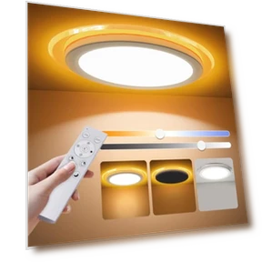 Flush Mount LED Ceiling Light with Nightlight — Overhead Lighting, Aphyni