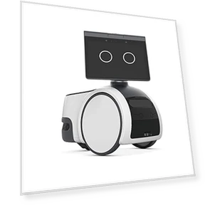 Household robot for home monitoring — Smart Home Security, Amazon