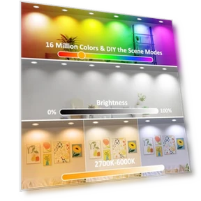 Wi-Fi LED Downlight — LED, inShareplus