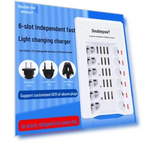 Smart Charger for Two Batteries — Chargers, Doublepow Battery