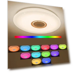Smart LED Ceiling Light — Overhead Lighting, Pro DIY Tool