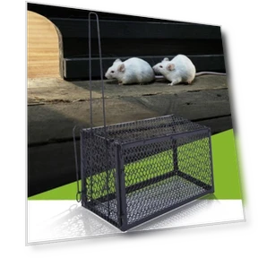 Smart Self-Locking Mousetrap — Traps, LY Gardening