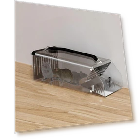 Continuous Mouse Catcher High Sensitive Pedal Self-locking Mousetrap — Traps, Peanouw