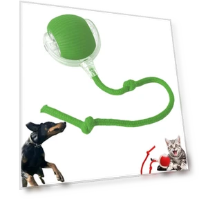 Fast Rolling Electric Ball for Pets — Interactive Animal Companions, Longlish